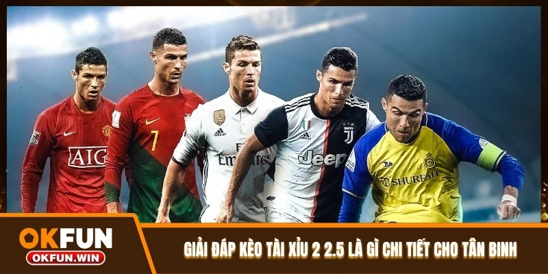 Giải Đáp Kèo Tài Xỉu 2 2.5 Là Gì Chi Tiết Cho Tân Binh