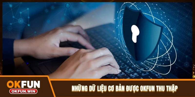 Những dữ liệu cơ bản được OKFUN thu thập